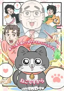 Neko ni Tensei shita Ojisan - Anizm.TV